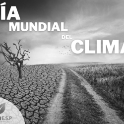 día mundial del clima